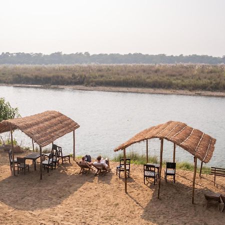 Jungle Wildlife Camp Sauraha Exterior foto