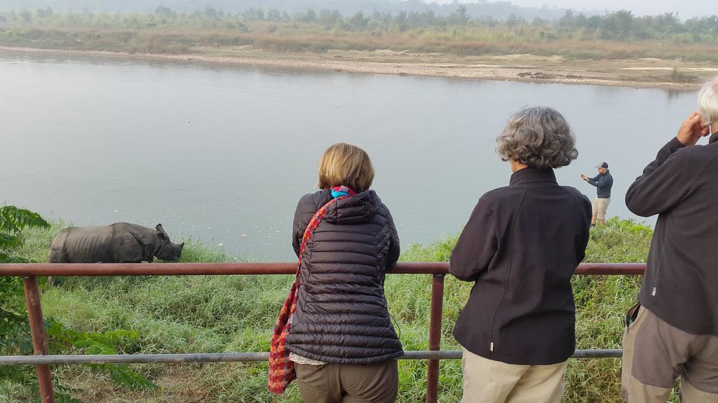Jungle Wildlife Camp Sauraha Exterior foto