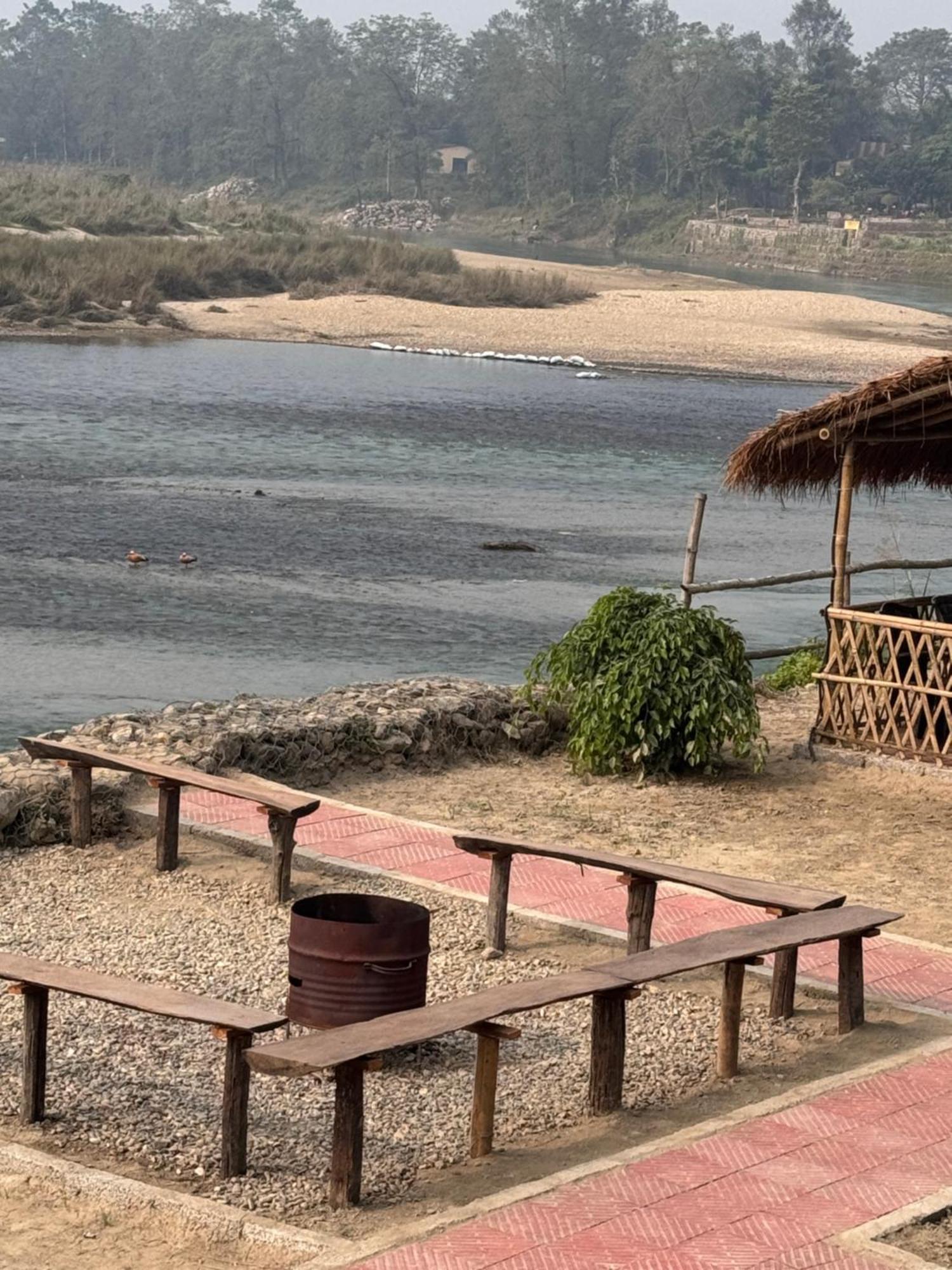 Jungle Wildlife Camp Sauraha Exterior foto