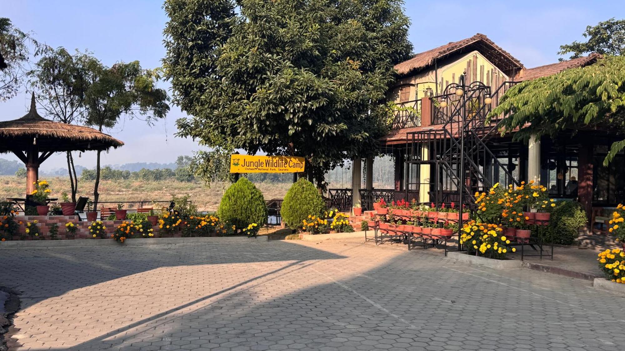 Jungle Wildlife Camp Sauraha Exterior foto