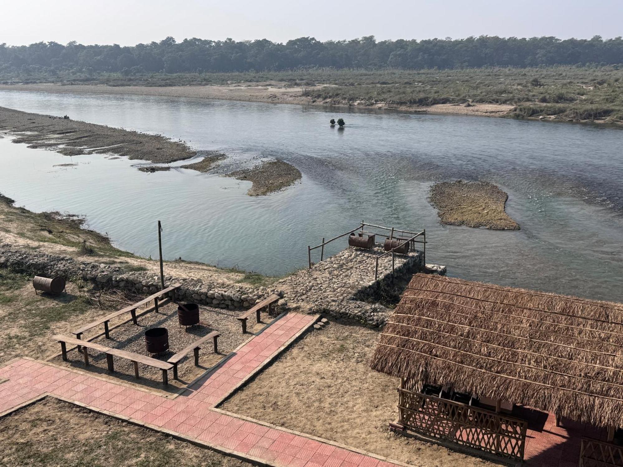 Jungle Wildlife Camp Sauraha Exterior foto