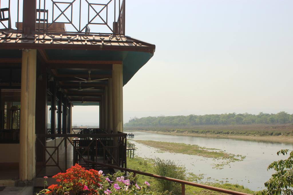 Jungle Wildlife Camp Sauraha Exterior foto