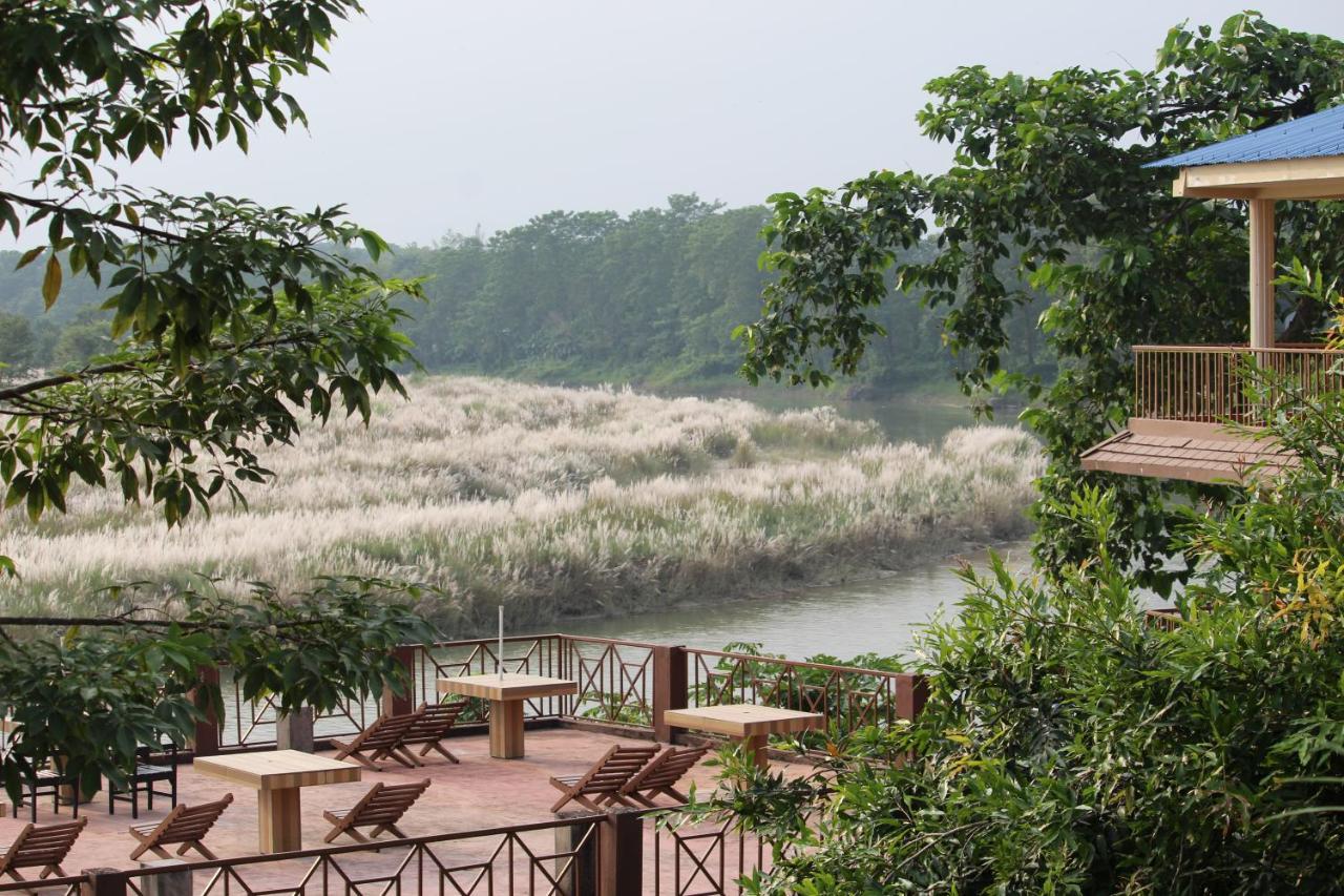 Jungle Wildlife Camp Sauraha Exterior foto