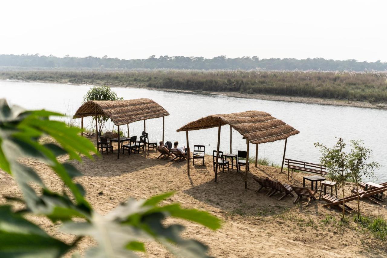 Jungle Wildlife Camp Sauraha Exterior foto